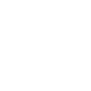 goverment-icon-01